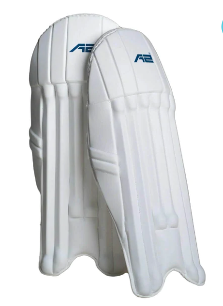 Wicket keeping pads price cheap
